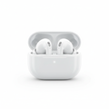 Wireless Earbuds with Charging Case