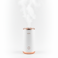 Portable Facial Steamer white rose gold
